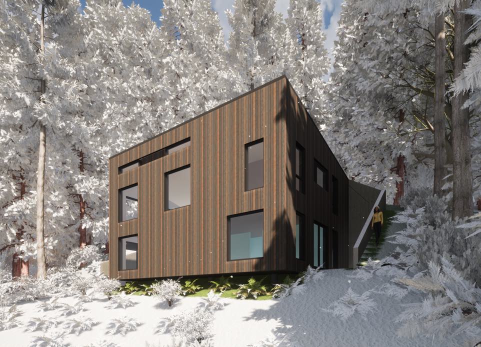 Winter visualization rendering showcasing a single family house in the forest featuring the spacious south facing windows with modern, compact and timeless design. N B A architects designed the sustainable modern house disappearing into the land featuring a green roof.